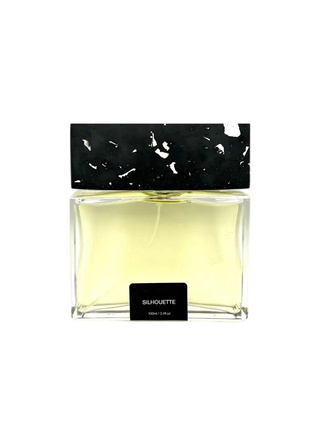 Pictor Parfum Silhouette, Estratto di Parfum, Unisex, 100 ml