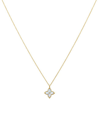 Pierre Lannier Affascinante Collana Da Donna Con Madreperla Rubya Bj23A0201