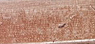 Pola Cosmetics Eyebrow Pencil With Brush Precise Style R 5 Ml - Shade: P1 