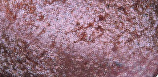 Pupa Milano Ombretti Altamente Pigmentati Vamp! (Ombretto Compatto) 1 G - Tonalità: 104 Deep Plum