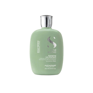 에너자이징 샴푸 Alfaparf 250ml 