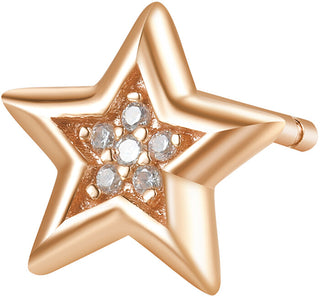 Rosato Orecchini A Stella Singola In Bronzo Con Zirconi Storie Rzo026