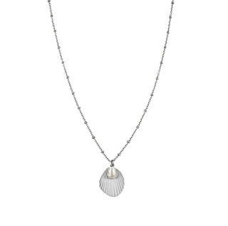 Rosefield Collana In Acciaio Con Conchiglia D'Ambra Jspns-J160