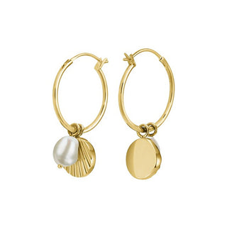 Rosefield Orecchini Placcati In Oro Abbinati Con Perla D'Ambra Jspceg-J173
