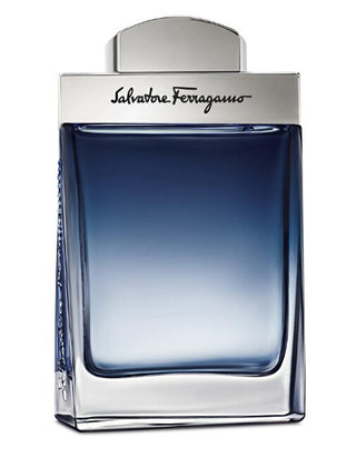 Salvatore ferragamo Subtil Pour Homme - EDT - Volume: 100 ml