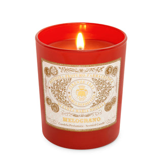 Santa maria novella Melograno, Candela Profumata, 250 g