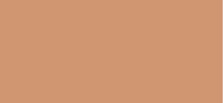 Bobbi Brown Correcteur en stick (Skin Corrector Stick) 3 G - Teinte : Dark Bisque 