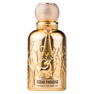 Auraa Desire Cedar Paradise Extrait de Parfum Uomo 100 ml — Eau de Parfum