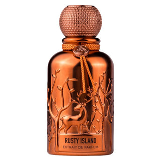 Auraa Desire Rusty Island Extrait de Parfum Uomo 100 ml — Eau de Parfum