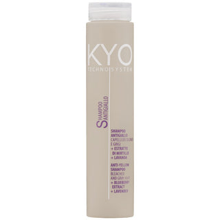Kyo Techno System Shampoo antigiallo 250 ml — Shampoo