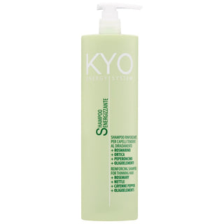 Champú fortalecedor KYO Energy System 1000 ml 