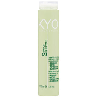 Champú fortalecedor KYO Energy System 250 ml 