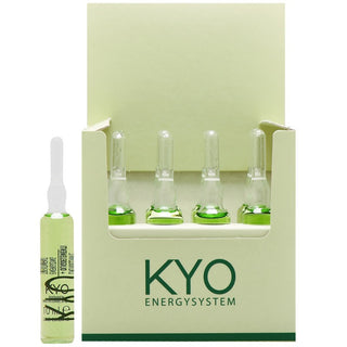 Kyo Energy System Fiale Energizzanti 12x10ml — Fiale capelli