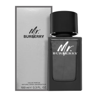 Burberry Mr. Burberry Uomo 100 ml — Eau de Parfum