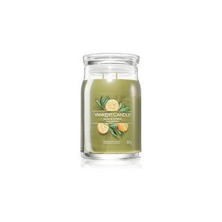 Yankee Candle Sage & Citrus 567 g 