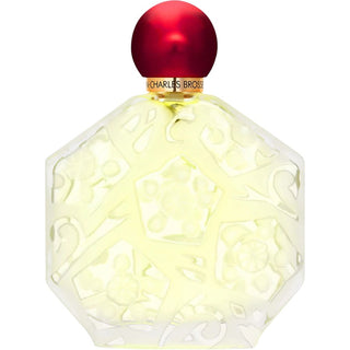 Jean Charles Brosseau Fleurs D'Ombre The Poudre Donna 100 ml — Eau de Parfum
