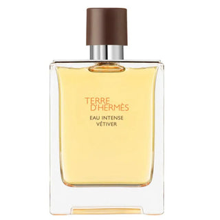 Hermes Terre D'Hermes Eau Intense Vetiver 100 ml — Eau de Parfum