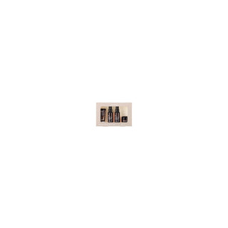 Mizon Schnecken-Miniaturenset - luxuriöses Miniaturenset 
