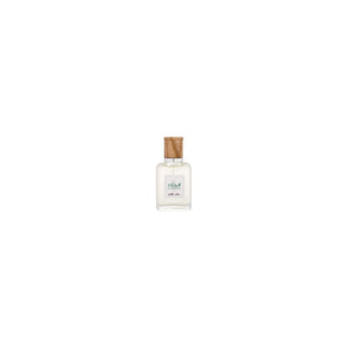 Ralph Lauren Polo Earth Antilles Vetiver Uomo 40 ml — Eau de Toilette