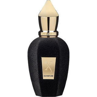 Xerjoff V Ouverture 100 ml — Eau de Parfum
