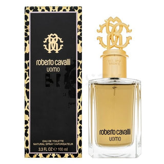 Roberto Cavalli Uomo 100ml — Eau de Toilette