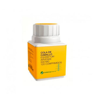 Botánicapharma Equisetum Arvense 500 mg — Integratore