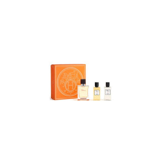 Hermès Terre D'hermes und T 50 Spray Gel40 Ash40 