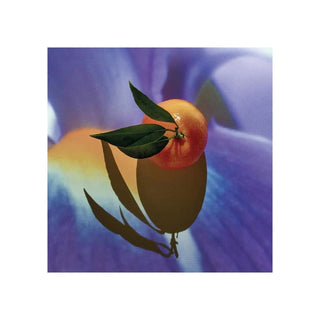 Loewe Solo Elixir Uomo 50 ml — Eau de Parfum