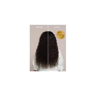 Treatment Moroccanoil 100ml 