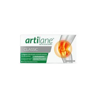 Pharmadiet Master Diet Artilane Pro 15 fiale — Integratore