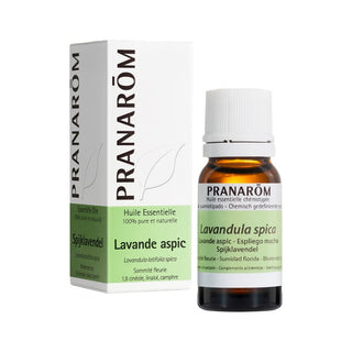 Pranarôm Lavandula Latifolia Spica Bio 10 ml — Olio essenziale