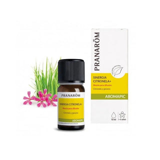 Pranarôm Aromapic Synergy Citronella 10 ml — Olio essenziale