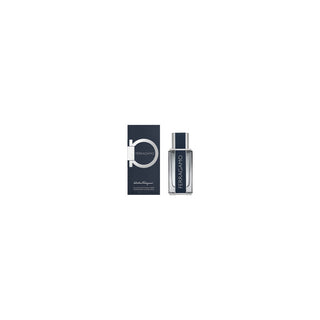 Salvatore Ferragamo Ferragamo Uomo 100 ml Eau de Toilette