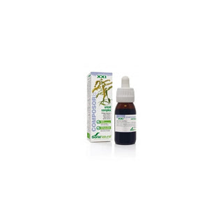 Soria Composor 32 Uricid S Xxi — Estratto