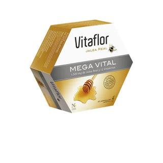 Vitaflor Mega Vital 20 Fiale 200ml — Integratore