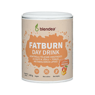 Blendea Fatburn Day 100 g — Integratore