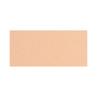 Clinique Kompaktes Puder-Foundation Spf 15 Almost Powder (Puder-Make-up) 10 G - Farbton: 06 Deep 