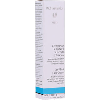 Dr. Hauschka Crema de Día Cosmetica 40 Ml 