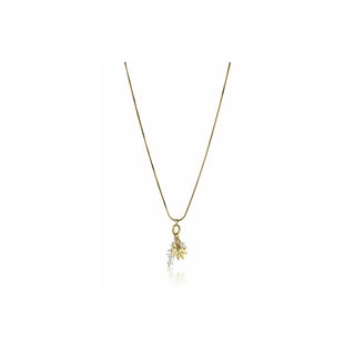 Emily Westwood Delicado Collar Chapado en Oro Ewn23045G 