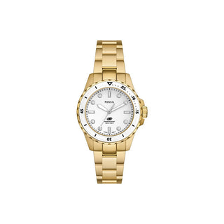 Fossil Blu ES5350 — Orologio
