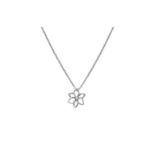 Hot Diamonds Collar de plata preciosa con bouquet de diamantes y amuletos de diamantes Dp894 (Cadena, Colgante) 