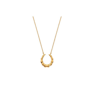 Hot Diamonds Elegante Collar de diamantes chapado en oro Golden Edit Hope Dn215 