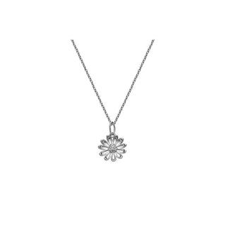 Hot Diamonds Collar de plata con circonitas Thank You Silver Whisper Swp012 (Cadena, Colgante) 
