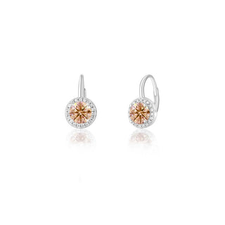 Jvd Pendientes de plata con circonitas Svle0986Xh2Ch00 