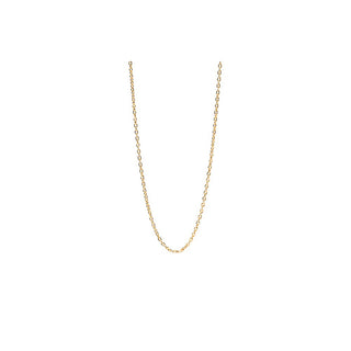 PDPAOLA Anker CO01-439-U Argento Placcato Oro — Catena Per Charms