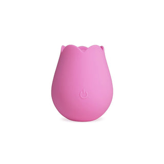 Plusone Fiore Di Delizia Rosa 