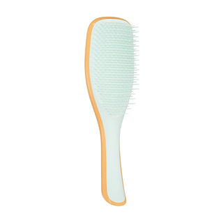 Tangle Teezer Brosse à cheveux Ultimate Detangler, Orange Doux et Bleu Glacé 