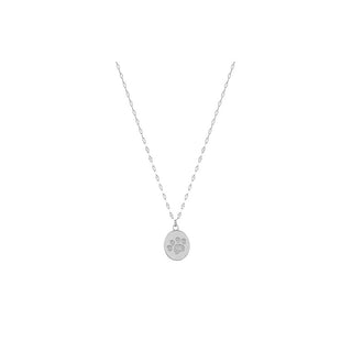 Troli Collana Con Zampa In Acciaio Vabqjn038S — Collana