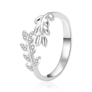 Agato AGT-R29W Silver Ring with Doors - Circuit: 54 mm