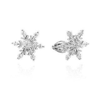 Beneto Boucles d'oreilles en argent TAGUP1565S